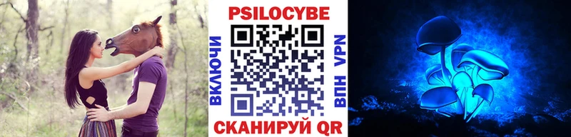mega как зайти  Гремячинск  Псилоцибиновые грибы Magic Shrooms 